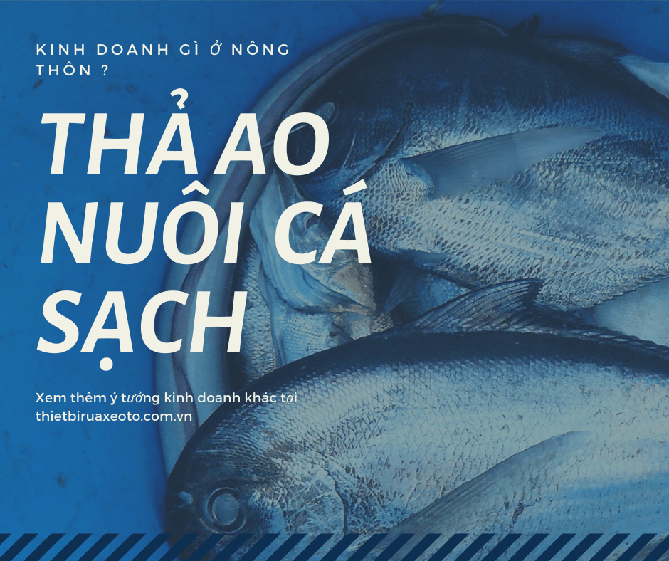 Nuôi cá sạch để bán ở những siêu thị thức ăn organic là một ý tưởng kinh doanh ở nông thôn hot nhất năm 2020 – 2021